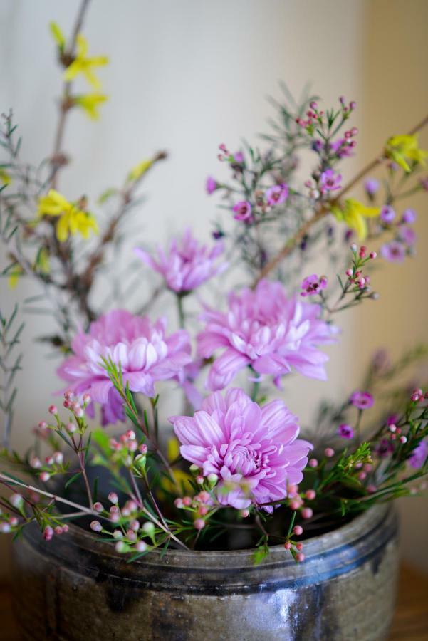 Briar Rose Bed & Breakfast 볼더 외부 사진
