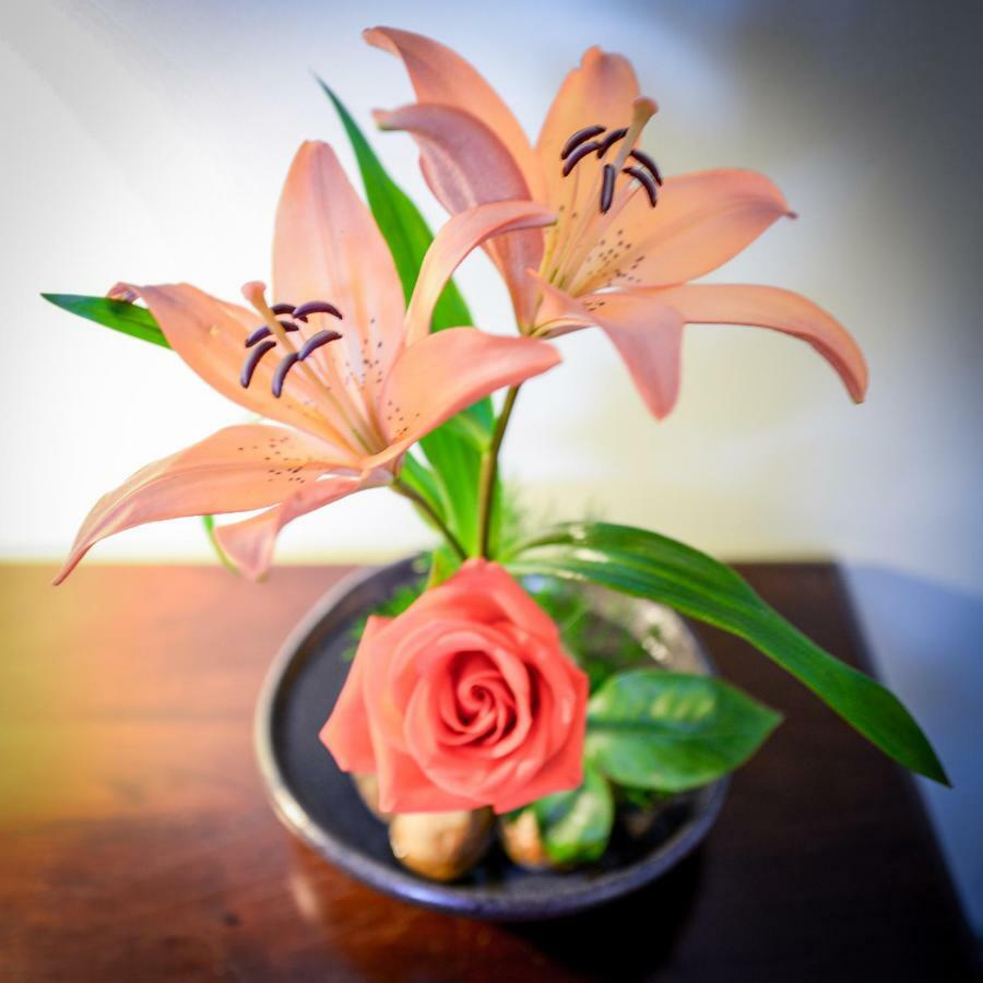 Briar Rose Bed & Breakfast 볼더 외부 사진